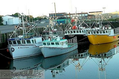 Paras Paikka Mennä Kalastamaan Nova Scotia