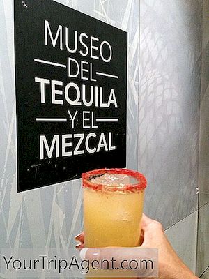 Parhaat Paikat Kokeilla Mezcal Meksikossa