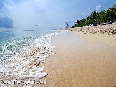 De Bästa Skaldjursrestaurangerna I Cozumel