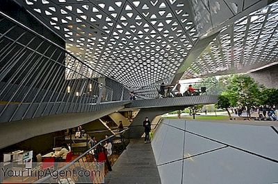 Breve Storia Della Cineteca Nacional, Città Del Messico