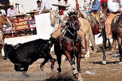 メキシコのナショナルスポーツチャレリアへのガイド