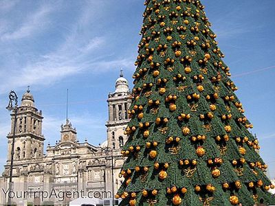 Jak Oslavit Vánoce V Mexico City