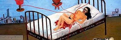 La Casa Azul: Sanatçı Frida Kahlo'Nun Hayatı