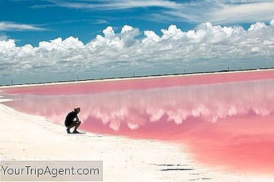 Las Coloradas: Hướng Dẫn Đến Mexico'S Magical Pink Lagoon