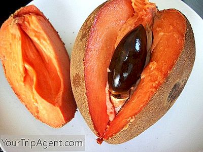 Fruits Et Légumes Mexicains Dont Vous N'Avez Probablement Jamais Entendu Parler