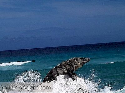 Le Più Belle Spiagge Di Cozumel, Messico