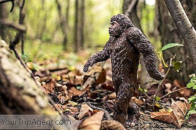 Bigfoot Sightingsの最も有名な北カリフォルニアのスポット