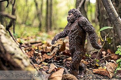 Bigfoot Manzaraları İçin En İyi Bilinen Kuzey Kaliforniya Noktaları