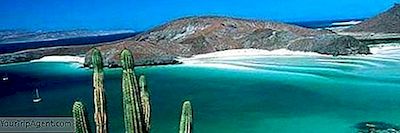 La Paz, Baja California Sur Bölgesinde En Iyi 10 Yerel Restoranları