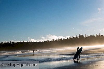 Le 10 Migliori Cose Da Vedere E Fare Sull'Isola Di Vancouver