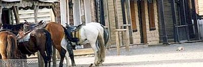 Las 10 Mejores Películas Occidentales De Todos Los Tiempos