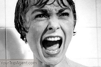 Ein Beunruhigender Dokumentarfilm Über Die 'Psycho'-Duschszene