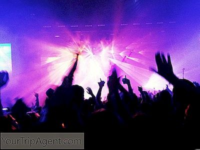 The Ultimate Nightlife Hướng Dẫn Để Cancun
