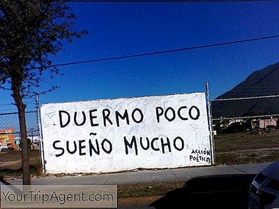 メキシコでのAcciónPoética運動とは何ですか？
