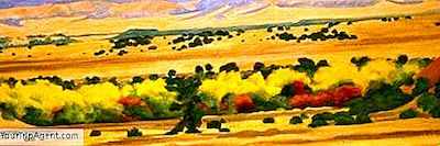 Kde Vidět Georgia O'Keeffe'S Art