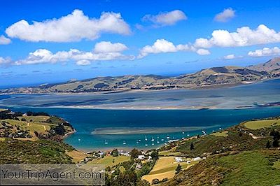 10 Nhà Hàng Tốt Nhất Ở Dunedin, New Zealand