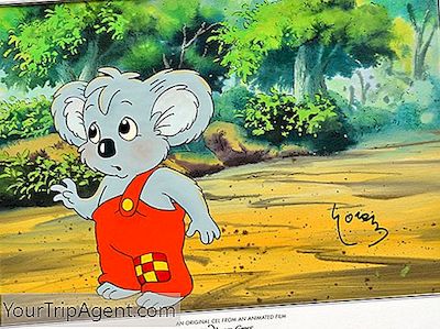 11 Cosas Que Quizás No Sepa Sobre Blinky Bill
