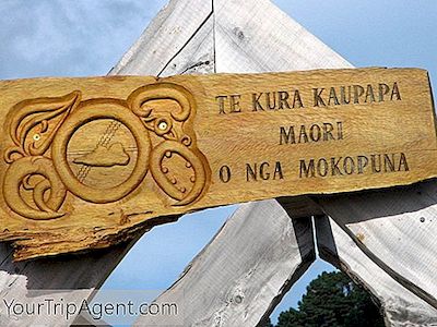 21 Frasa Penting Māori Yang Perlu Anda Ketahui