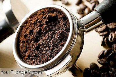 I Migliori Caffè E Caffetterie A Hamilton, Nuova Zelanda
