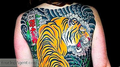 The Best Tattoo Parlors I Sydney, Australien