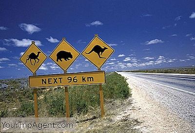 Ontmoet Deadliest Animals Van Australië