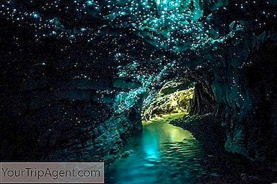 Dies Sind Die Spektakulärsten Glow Worm Höhlen Der Welt