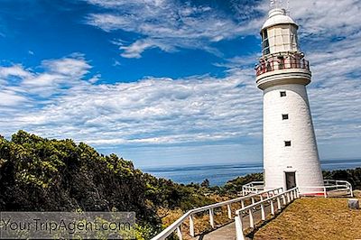 As 10 Melhores Coisas Para Ver E Fazer Em Apollo Bay