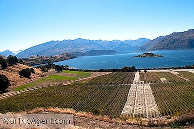 Le 10 Migliori Aziende Vinicole In Nuova Zelanda