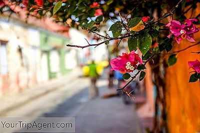 Les 10 Meilleures Auberges À Cartagena, Colombie