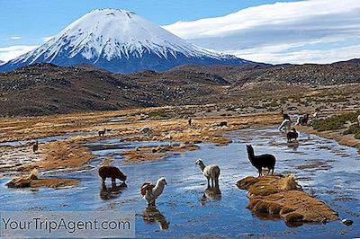 2018 년 칠레 방문 15 개 목적지
