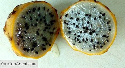 17 Frutas Tropicales Que Debe Probar En Ecuador