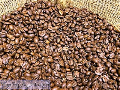 8 Pengalaman Kopi Terbaik Di Kolombia