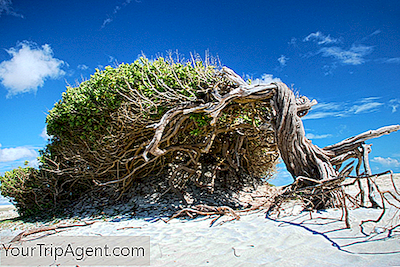 9 Coisas Que Você Precisa Saber Antes De Visitar A Praia De Jericoacoara