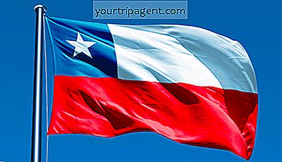 The Andean Tác Giả: Một Cái Nhìn Tại 10 Nhà Văn Chile Đương Đại