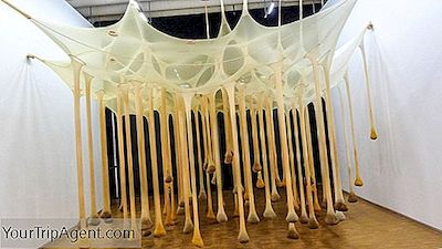 Ernesto Neto的艺术：进入Ludic之旅