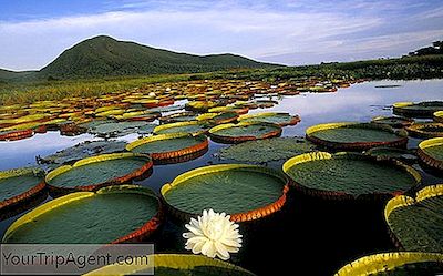 Thời Gian Tốt Nhất Và Rẻ Nhất Để Đến Brazil