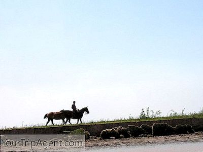 Gauchoの簡単な歴史：アルゼンチンのカウボーイズ