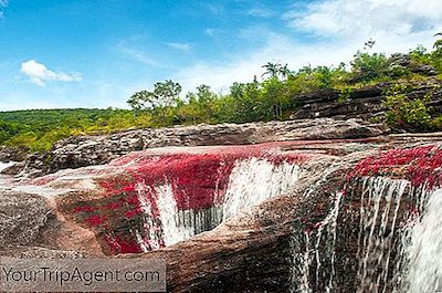 Caño Cristales: Wat U Moet Weten Over De Vloeibare Regenboog