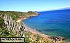 Một Hướng Dẫn Văn Hóa Để Búzios: Các Saint Tropez Brazil
