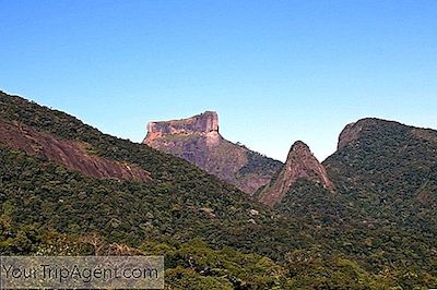 探索里约热内卢Tijuca森林的指南