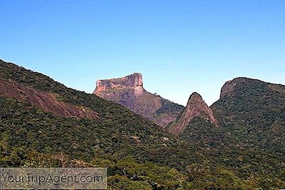 Průvodce Pro Poznávání Lesa Tijuca, Rio De Janeiro