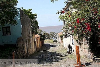 En Guide Til Uruguays Kultur Og Kulturarv