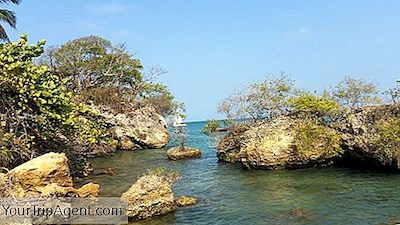 Île D'Île En Colombie: Les Meilleures Retraites De L'Île Secrète