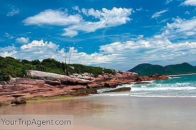 Las Playas Más Bellas De Florianópolis