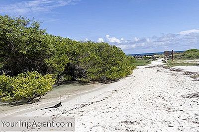 Plajele Cele Mai Frumoase Din Insulele Galapagos