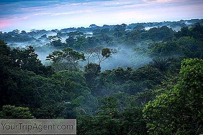 Historien Bakom Hur Amazonas Regnskog Fick Sitt Namn