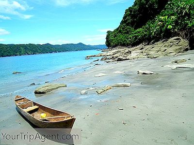 哥伦比亚太平洋沿岸十大景点和活动