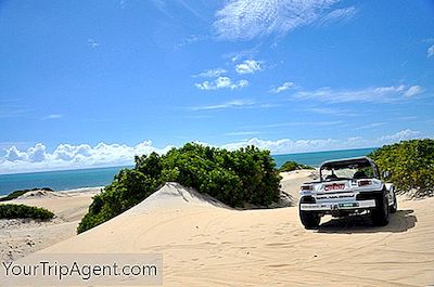 As 10 Melhores Coisas Para Ver E Fazer Em Praia Da Pipa, Brasil