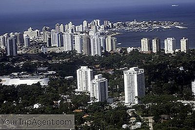 10 Hal Yang Dapat Ditonton Dan Dilakukan Di Punta Del Este