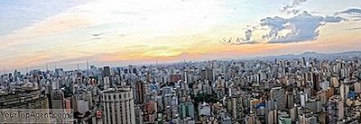 Top 10 Ting At Se Og Gøre I São Paulo